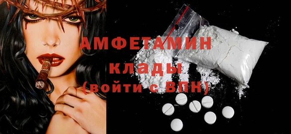 амф Пестово