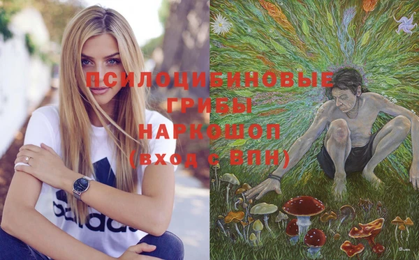 дживик Алексин