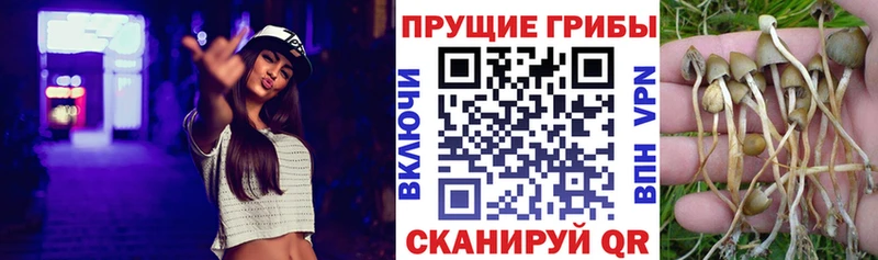 Псилоцибиновые грибы мухоморы Пикалёво
